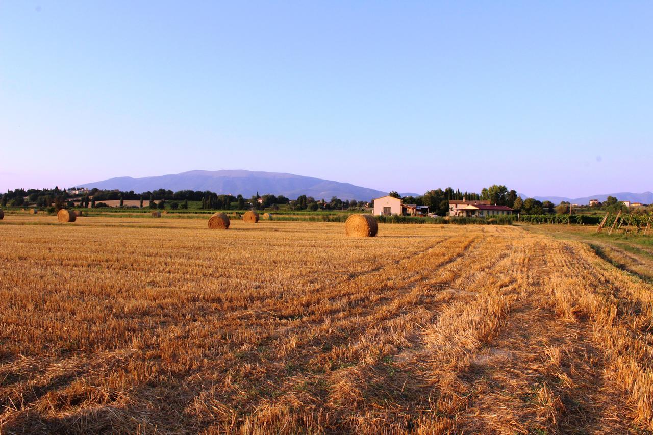 Le Case Bevagna Exterior foto